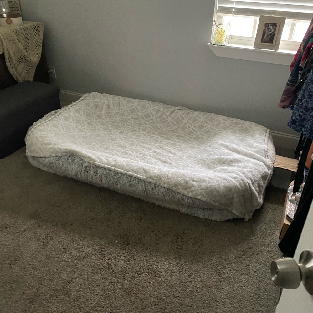 Luxurious White Dog Blanket